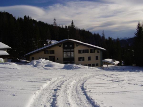 Гостиница Appartementhaus Hochkönig I, Мюльбах-Ам-Хохкёниг